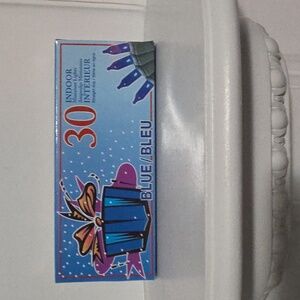 Dollarama Christmas 30-Light Mini Light Set - Color Combos BLUE